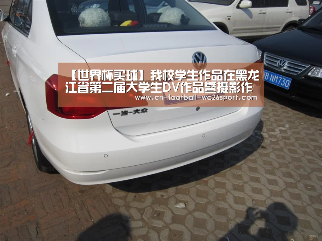 【世界杯买球】我校学生作品在黑龙江省第二届大学生DV作品暨摄影作品大赛获奖(图2) 世界杯买球网站