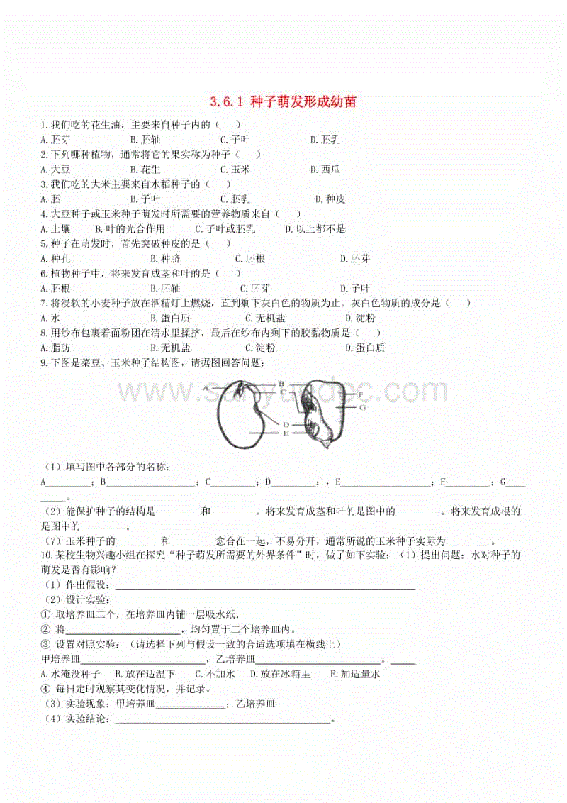 唐正东归队首战得4分 江苏100-79主场轻取佛山‘世界杯买球网站’(图1) 世界杯买球