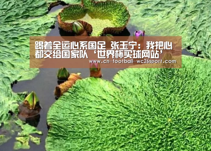 踢着全运心系国足 张玉宁:我把心都交给国家队‘世界杯买球网站’(图3) 世界杯买球网站