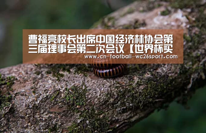 曹福亮校长出席中国经济林协会第三届理事会第二次会议【世界杯买球】(图1) 世界杯买球